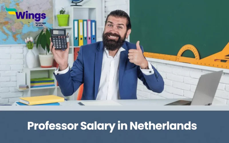 Professor Salary in Netherlands