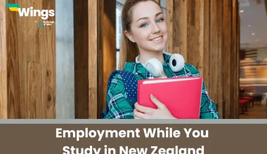 employment while you study in new zealand
