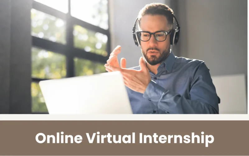online virtual internship