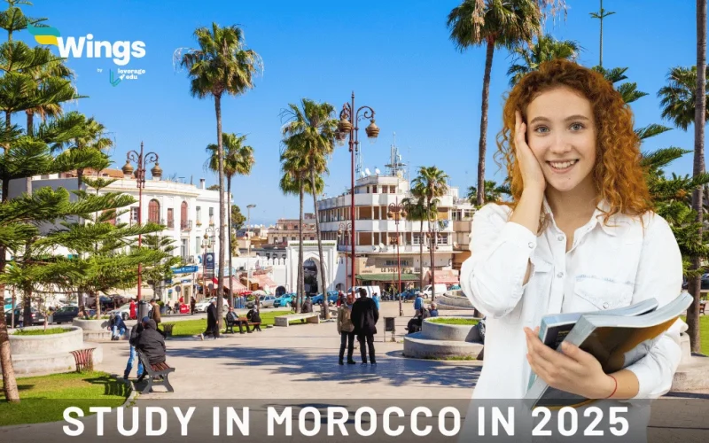 Study in Morocco in 2025: Your Ultimate Guide to a Rich Academic and Cultural Experience