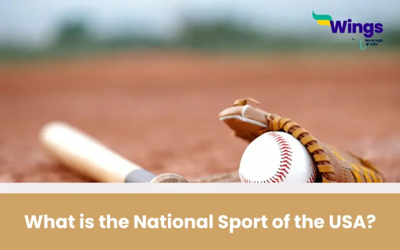 what is the national sport of usa