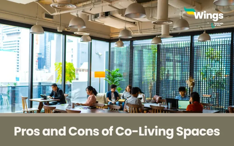 Pros and Cons of Co-Living Spaces