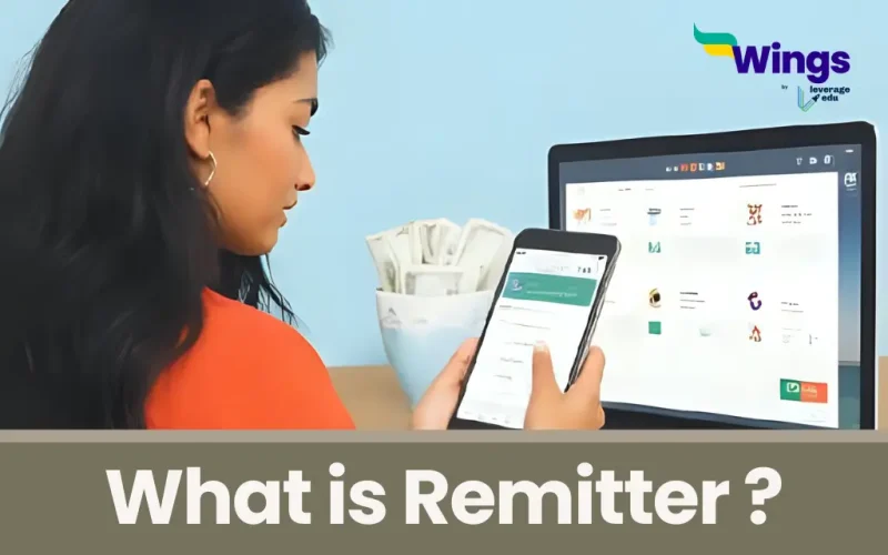 remitter meaning in bank