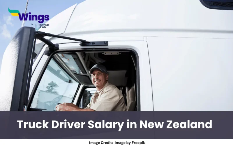 Truck Driver Salary in New Zealand