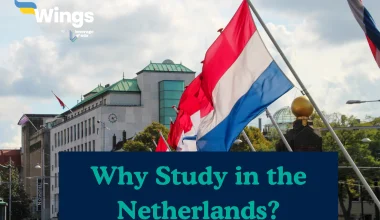 Why Study in the Netherlands