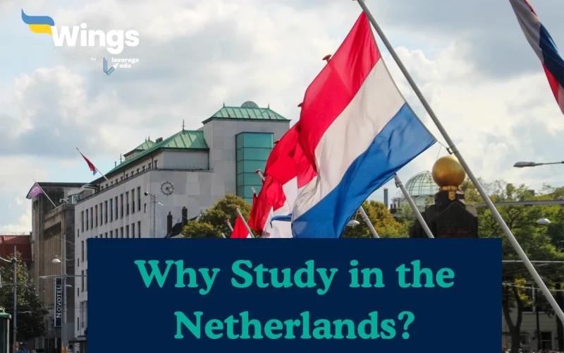 Why Study in the Netherlands