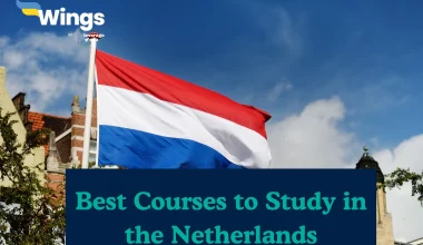 Best Courses to Study in the Netherlands