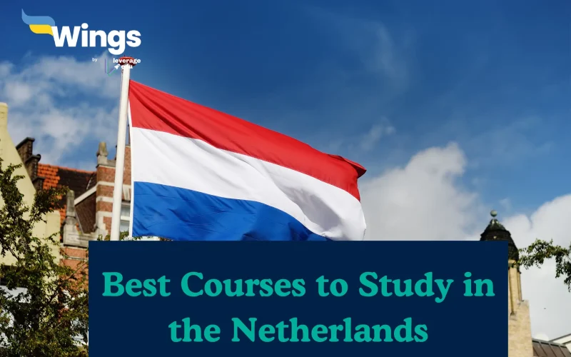 Best Courses to Study in the Netherlands