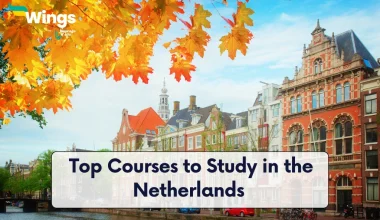 Top Courses to Study in the Netherlands for International Students