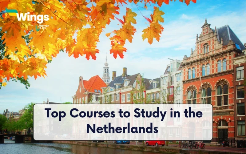 Top Courses to Study in the Netherlands for International Students