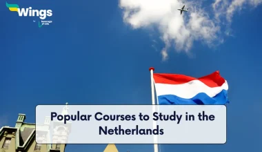 Popular Courses to Study in the Netherlands