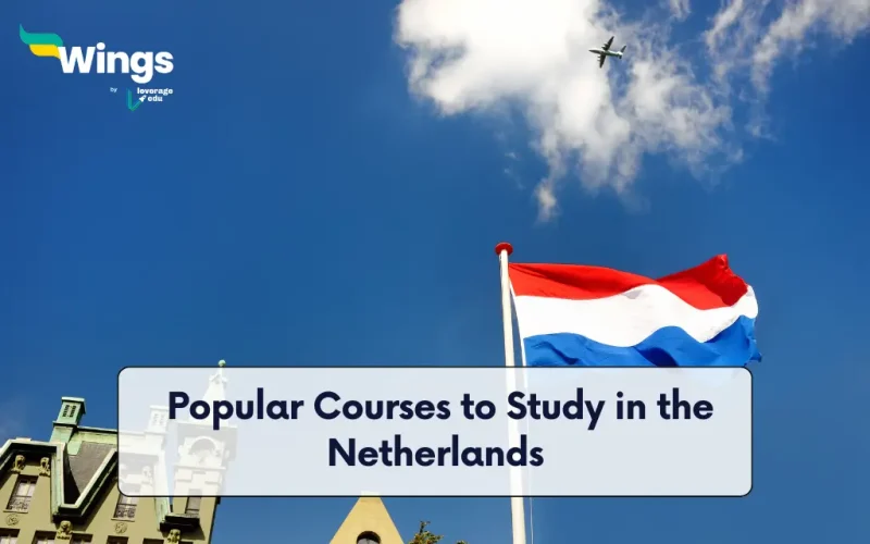 Popular Courses to Study in the Netherlands
