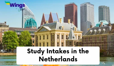Study Intakes in the Netherlands
