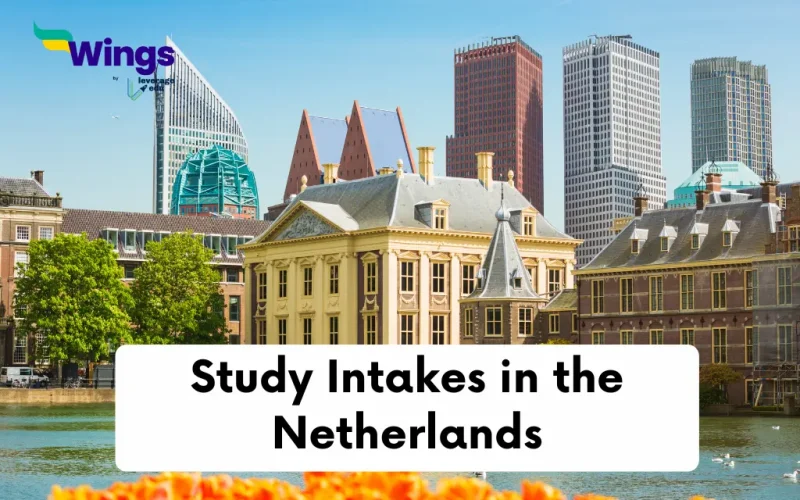 Study Intakes in the Netherlands