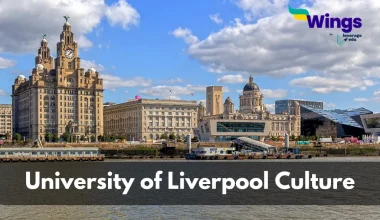 University of Liverpool Culture (1)