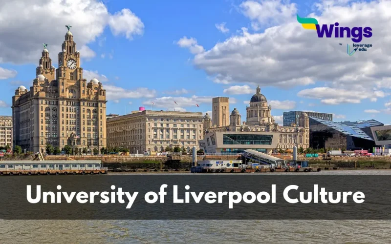 University of Liverpool Culture (1)