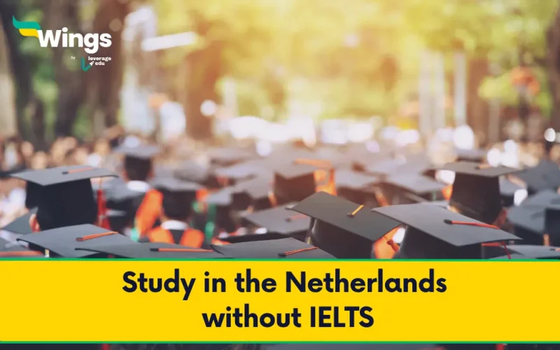 Study in the Netherlands without IELTS