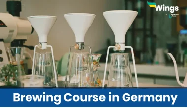 Brewing Course in Germany
