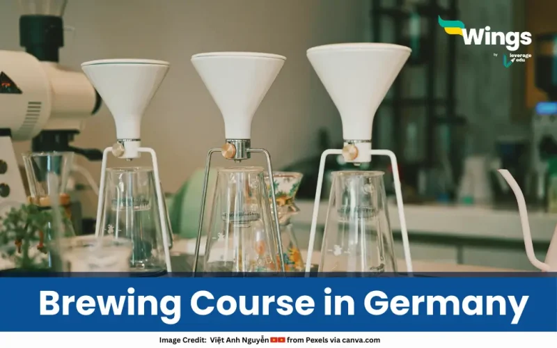 Brewing Course in Germany