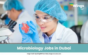 Microbiology Jobs in Dubai