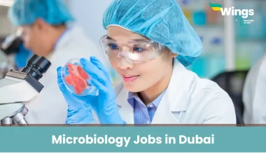 Microbiology Jobs in Dubai