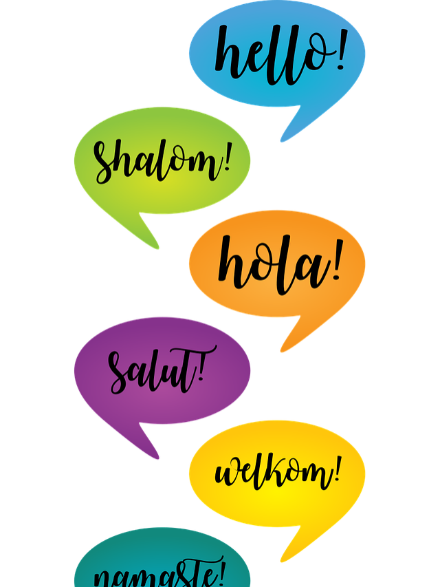 विदेशी भाषा क्यों सीखें ?