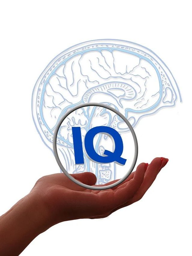 5 sbse tez iq wale desh