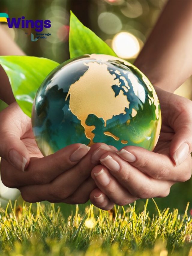 world environment day