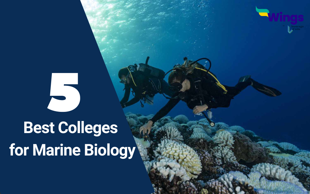 Best Colleges for Marine Biology