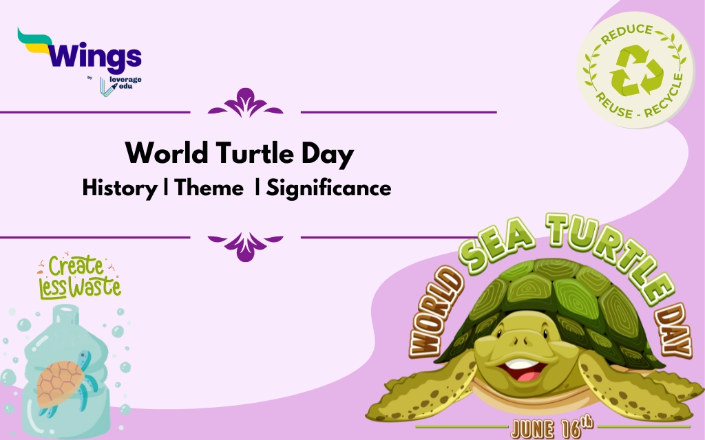 World Turtle Day