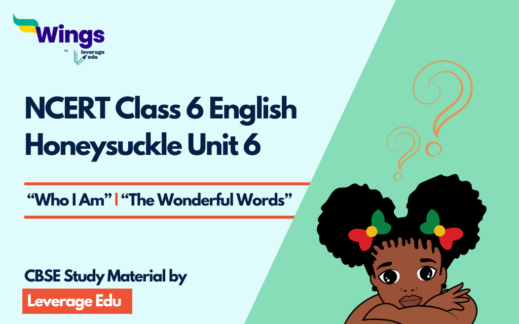 English Class 6 Chapter 6