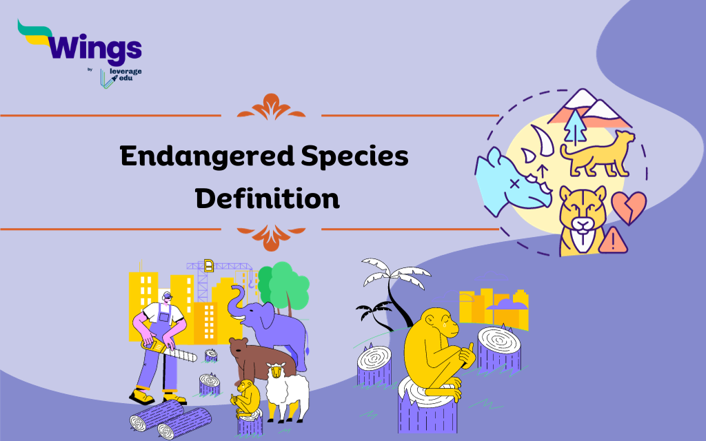 Endangered Species Definition