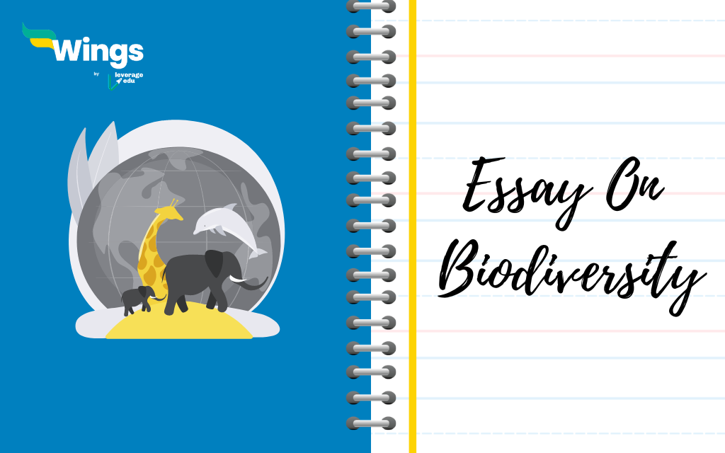 Essay on Biodiversity