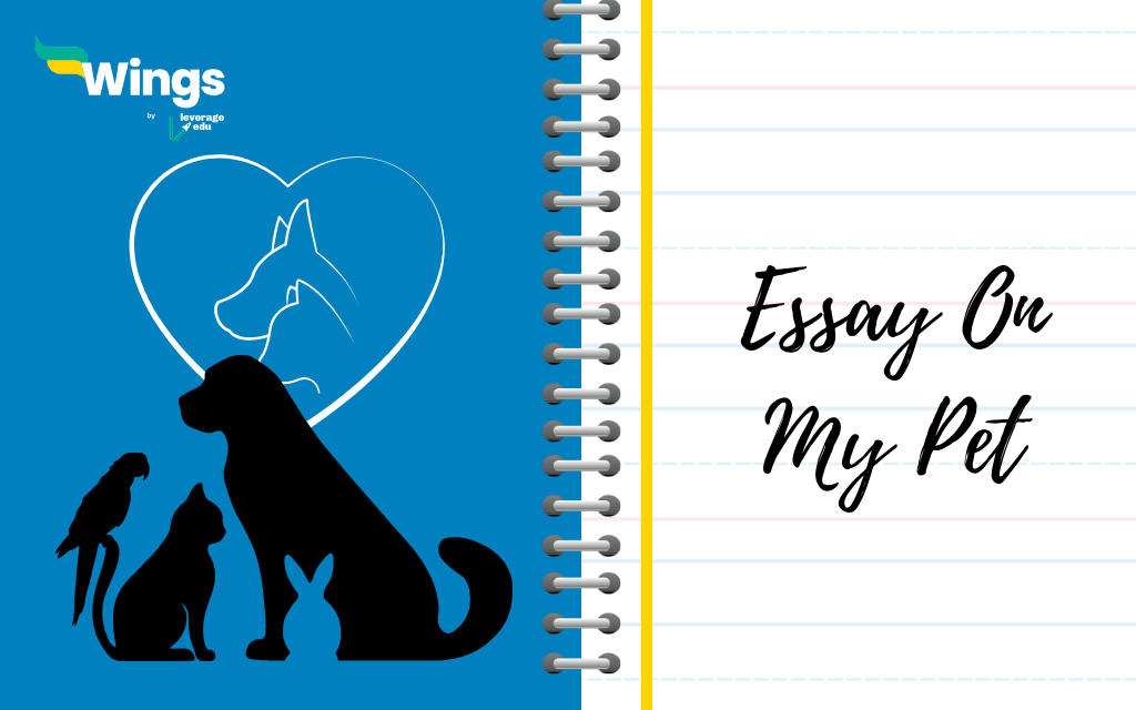 Essay on my pet