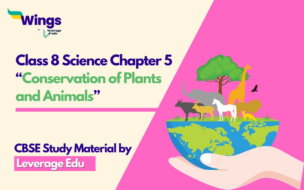 Class 8 Science Chapter 5