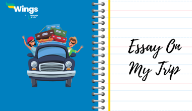 Essay on my trip