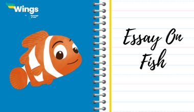 Essay on fish