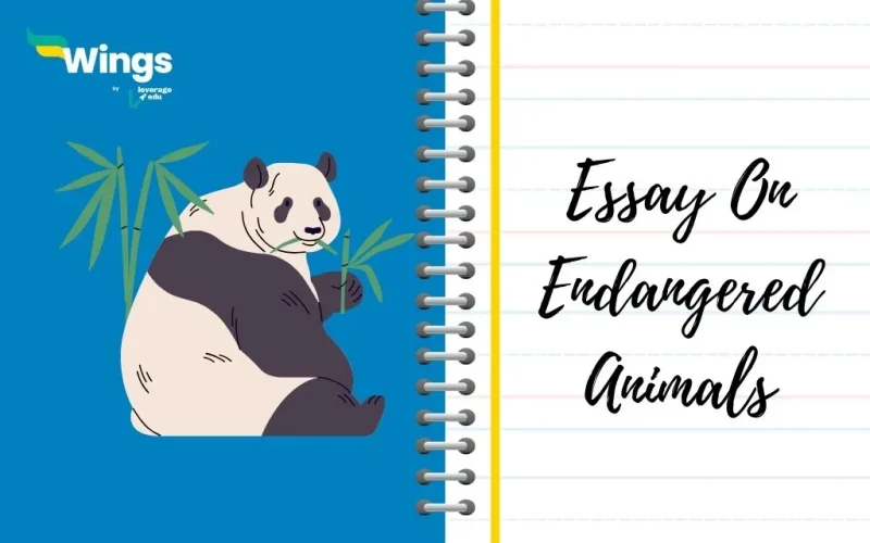 Endangered Animals Essay
