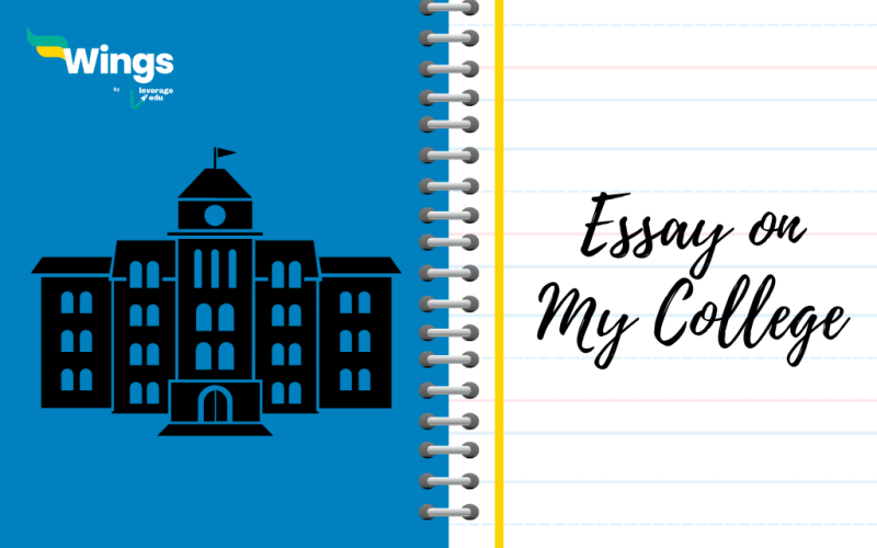 Essay On My College