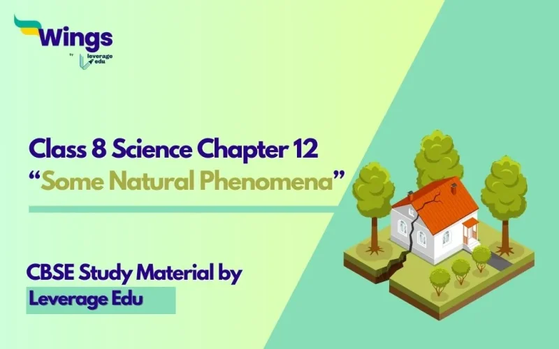 NCERT Class 8 Science Chapter 12