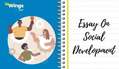Essay on Social Development