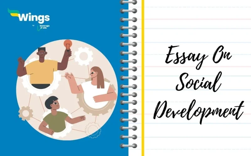 Essay on Social Development