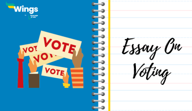 Essay on Voting