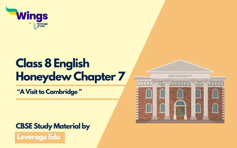 NCERT Class 8 English Honeydew Chapter 7