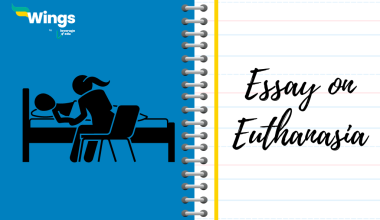 Essay on Euthanasia