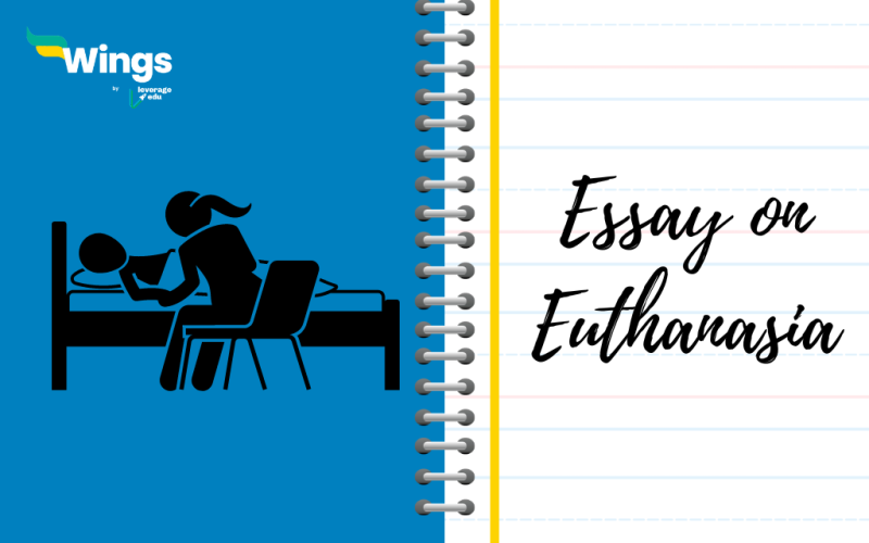 Essay on Euthanasia