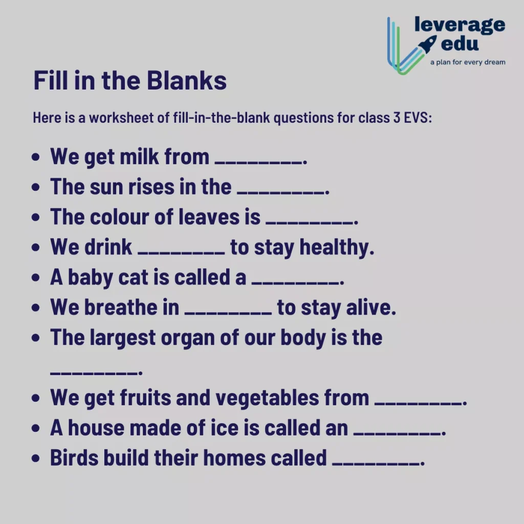 Holiday Homework for Class 3 EVS