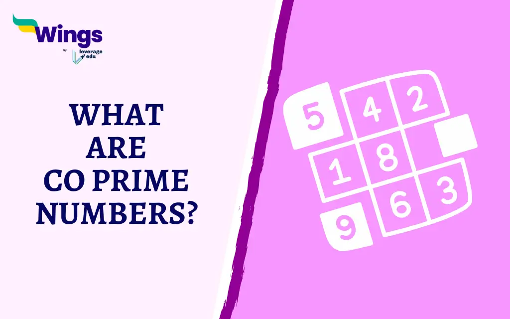 What are Co Prime Numbers