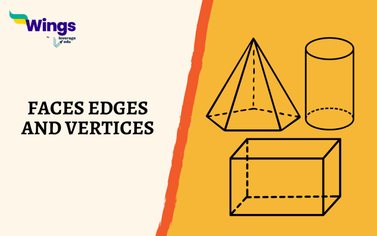 What are Vertices, Faces And Edges? - Leverage Edu Discover