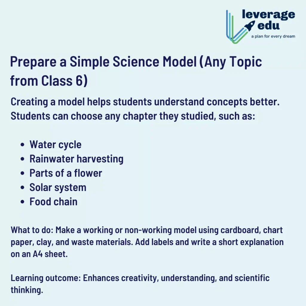 Holiday Homework for Class 6 Science